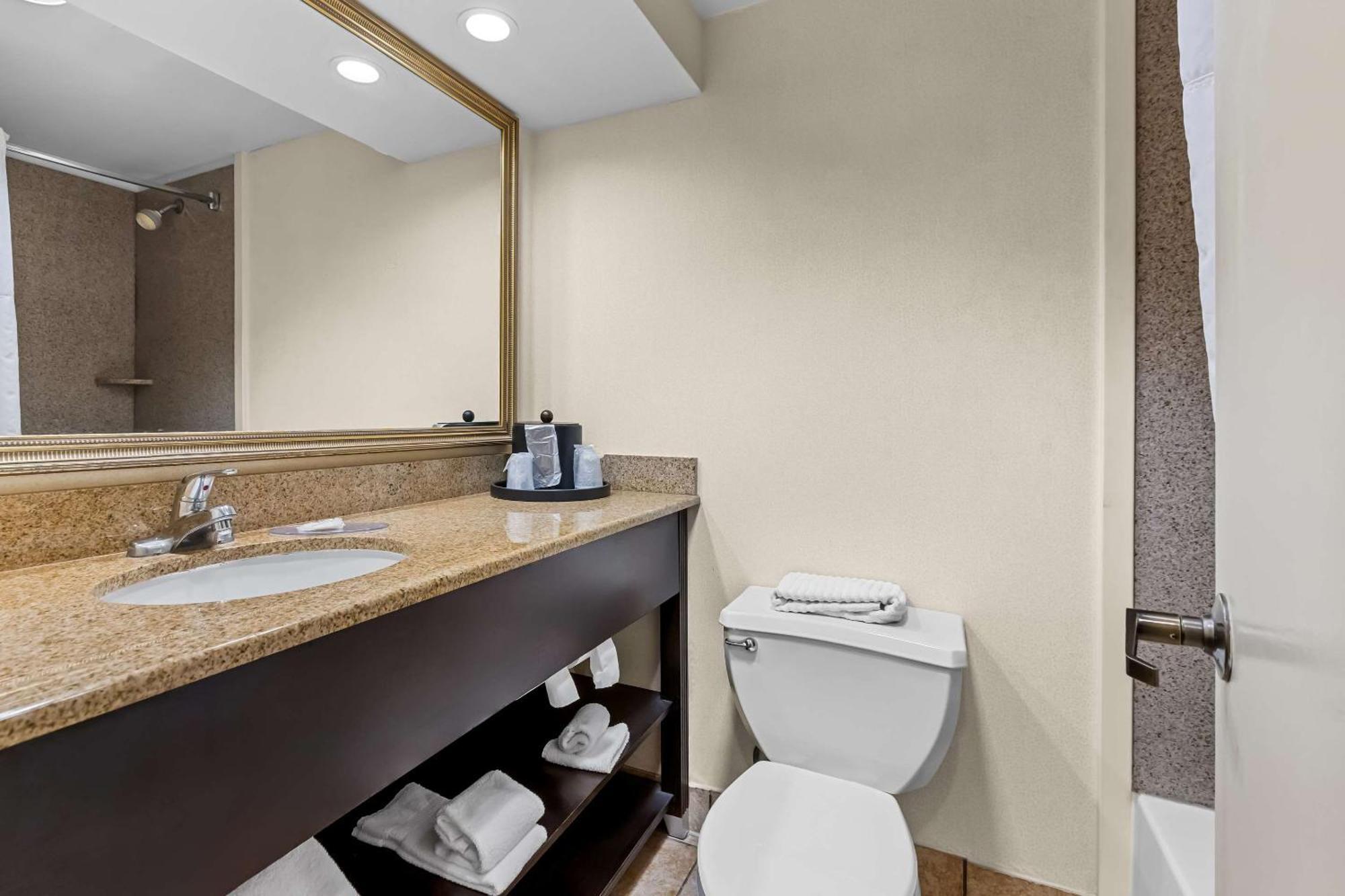 Comfort & - New Brunswick Somerset